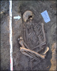 One of the skeletons found at Ballyhanna. Photo from QUB.