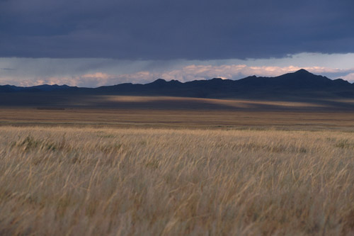 The Mongolian steppes, where the Turkic Khaganate rose.