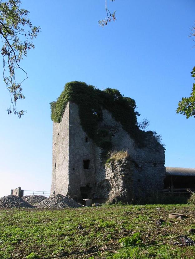 The ruins of Brittas Castle, main seat of the Bourkes. This was a home, while Castle Troy was a purely military castle.