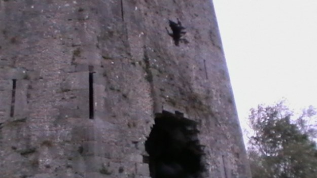 The holes left by Ireton's cannons are still visible today. Photo via the UL Digital Media Design sandbox.